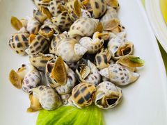 -高佳庄·舟山海鲜(海景旗舰店)