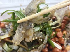 -陈添記·祖傳爽鱼皮·西关老字号(广州首店)