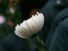 -荔枝公园-小平画像广场