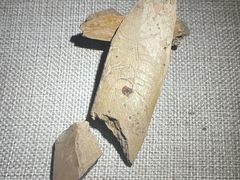 -王府井古人类文化遗址博物馆