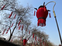 -西安城墙·碑林历史文化景区