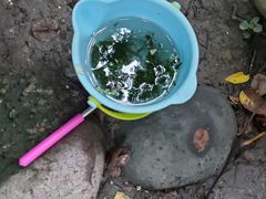 -成都市活水公园