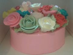 -向阳松鼠(江口店)