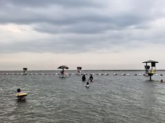 -碧海金沙