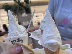-野人先生Gelato(上海长宁龙之梦店)