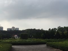 -南沙蒲洲花园
