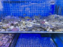 -前王院•巧克力海鲜市集餐厅(万平口店)