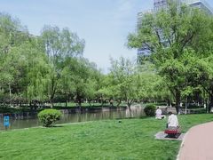 -中央公园(苏州工业园区)