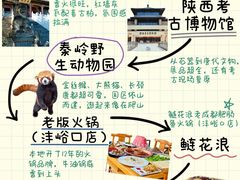 -老版火锅.12年西安排队王(沣峪口店)