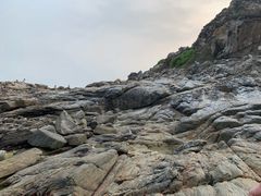 -盐洲岛