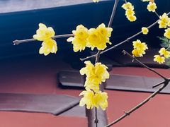 -钱王祠