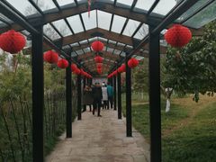 门面-走马楼饭庄(慈城古县城店)