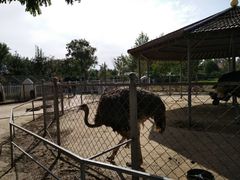 -意大利农场度假村