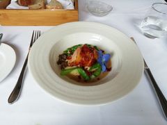 -蝶舍·MAISON PAPILLON