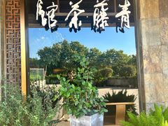 -青藤茶馆(南山路店)