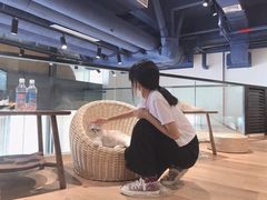 -瞄一喵猫咖(格力海岸店)
