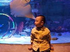 -沈阳海洋探索中心