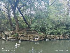 -兰亭风景区