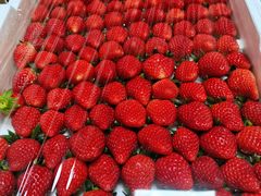-爱上花开·蛋糕·安佳动物奶油轻奢私人定制(凯德店)