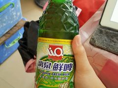 -毛大姐漓江特色啤酒鱼
