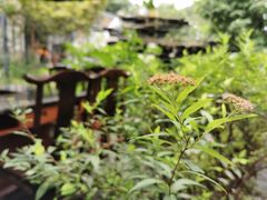 -凤来栖·净庭院·火锅(欧尚店)