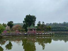 -大屏嶂森林公园
