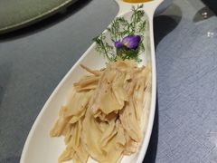 -梧桐