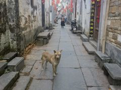 -上坦村