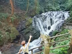 -莫里热带雨林景区