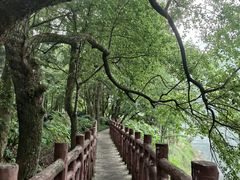 -广州市石门国家森林公园