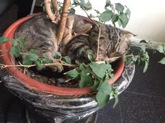 -炼呗运动康复·健身工作室(紫竹桥店)