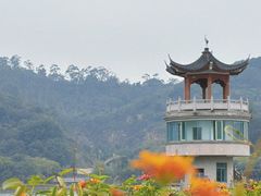 -水濂山森林公园