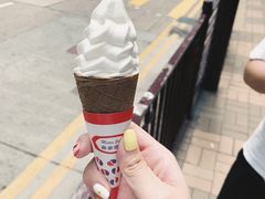 -富豪雪糕车流动点(尖沙咀店)