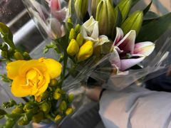 -循礼门鲜花花市(武汉循礼门店)