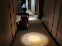 -世纪缘湖滨花园酒店(玄武湖店)