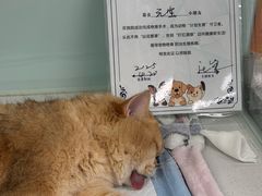 -达爱动物医院·犬猫分区·CT·复杂眼科(远洋山水分院)