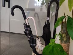 -安肯心理咨询(长宁旗舰店)