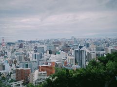 -歌诗达邮轮(宝杨路码头)