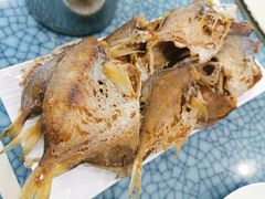 干煎海昌鱼-新恬乐大酒家(沧达大厦店)