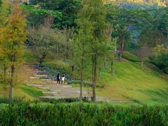 -梧桐山风景名胜区