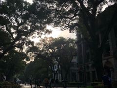 -星巴克臻选(广州沙面店)