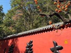 -大慈岩风景区