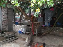 -荔枝园美食山庄(贞山风景区店)