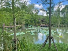 -昆山城市生态森林公园