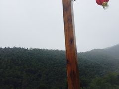 -天目湖御水温泉·度假酒店