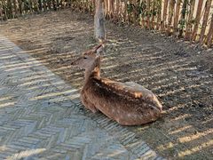 -太阳岛度假酒店