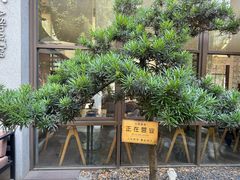 -扫雪煮茶(西村店)