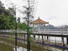 -畔山酒店中餐厅