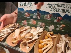 -芸山季·云南山珍菌火锅(南翔印象城MEGA店)