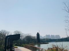 -昆山城市生态森林公园